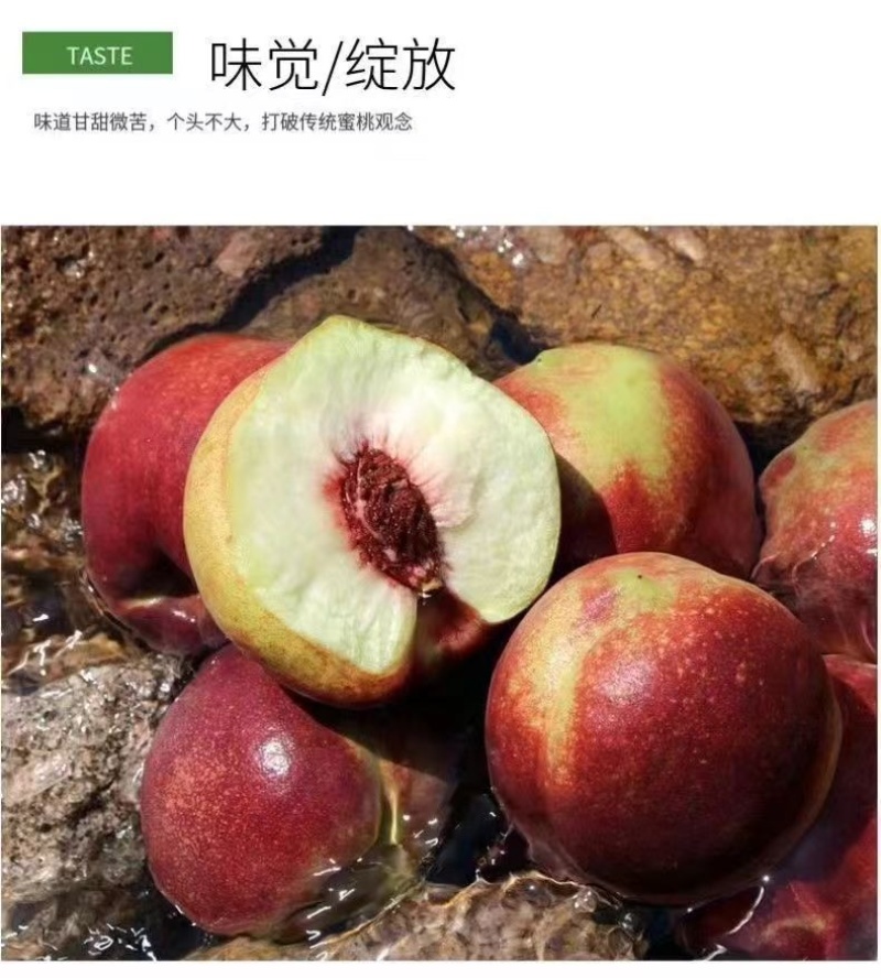 原产地青州蜜桃一件代发