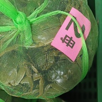 2两母蟹青壳白底品质上佳足量足称量大优惠