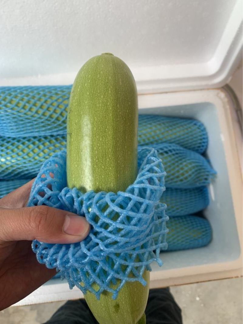 河北省加工配送，按需分拣配送，品质保证，收购加工配送西葫
