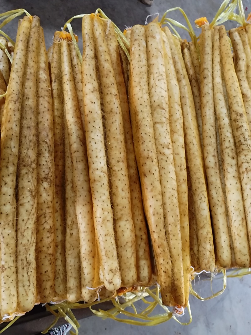 双棒山药大量上市，对接全国各地客商