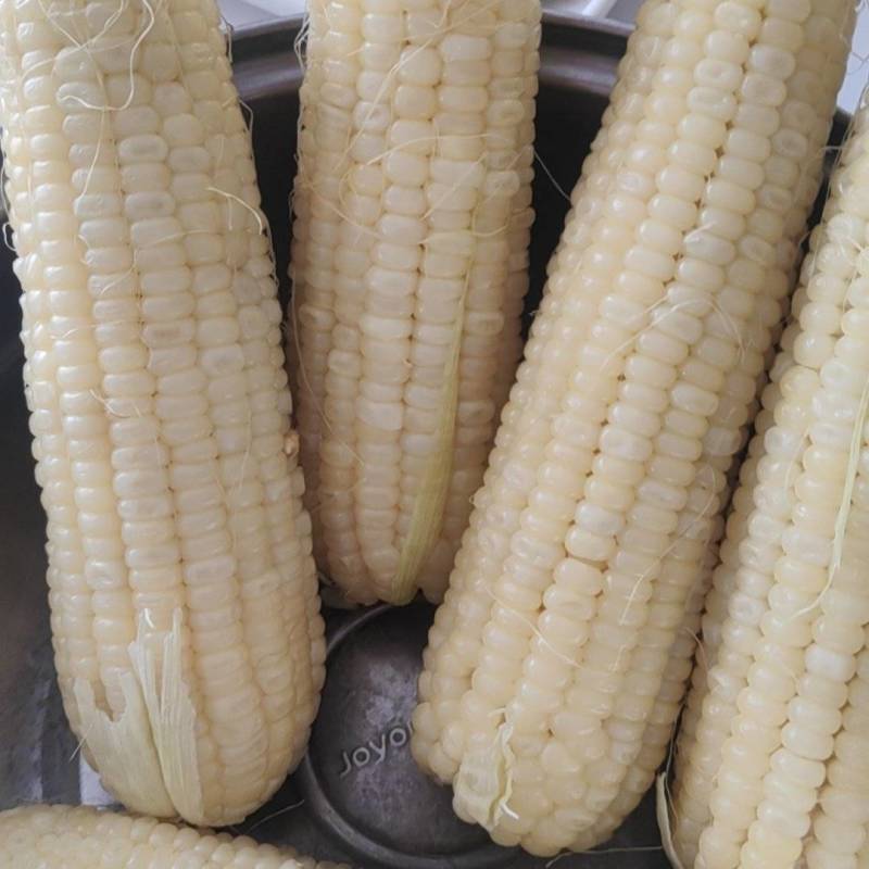 白糯冷冻玉米