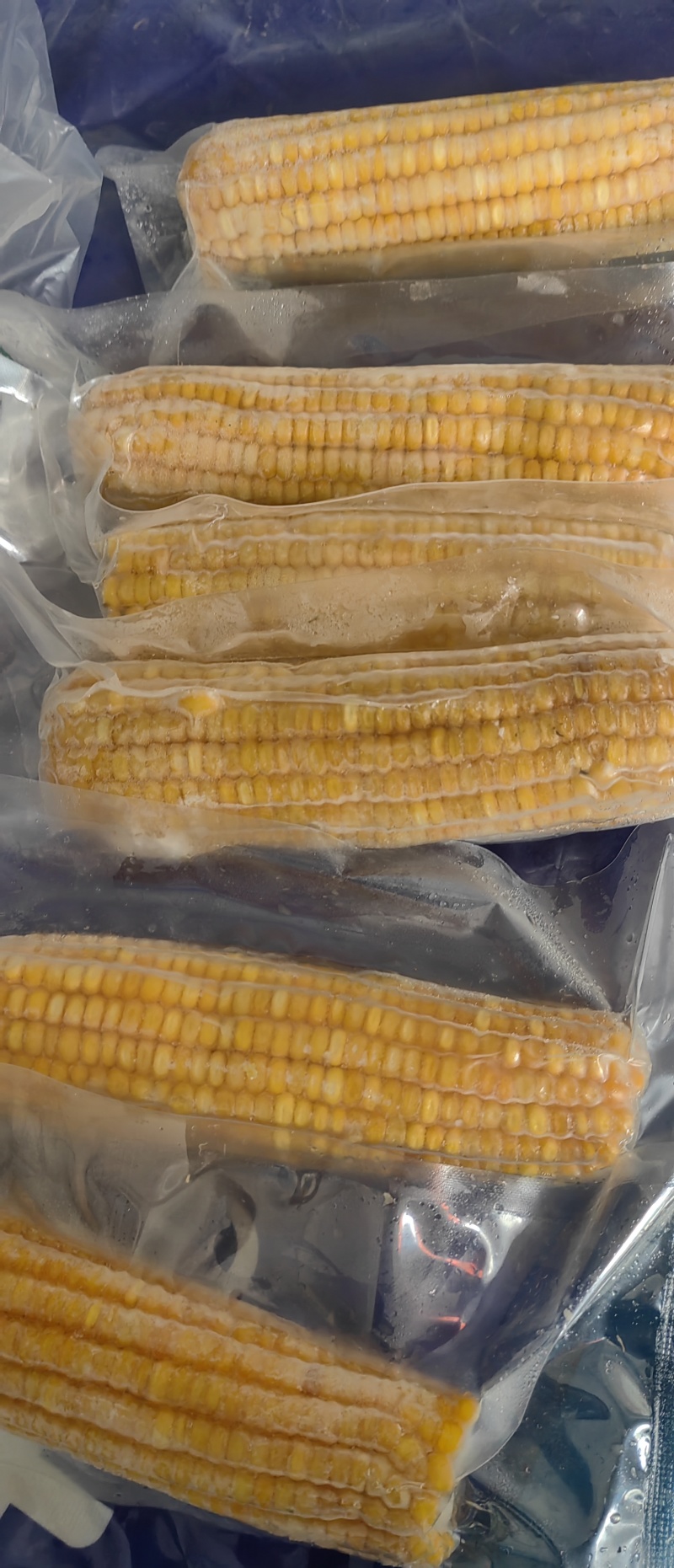 白糯冷冻玉米