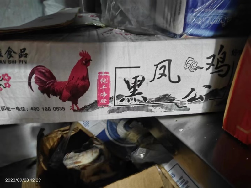 笨公鸡