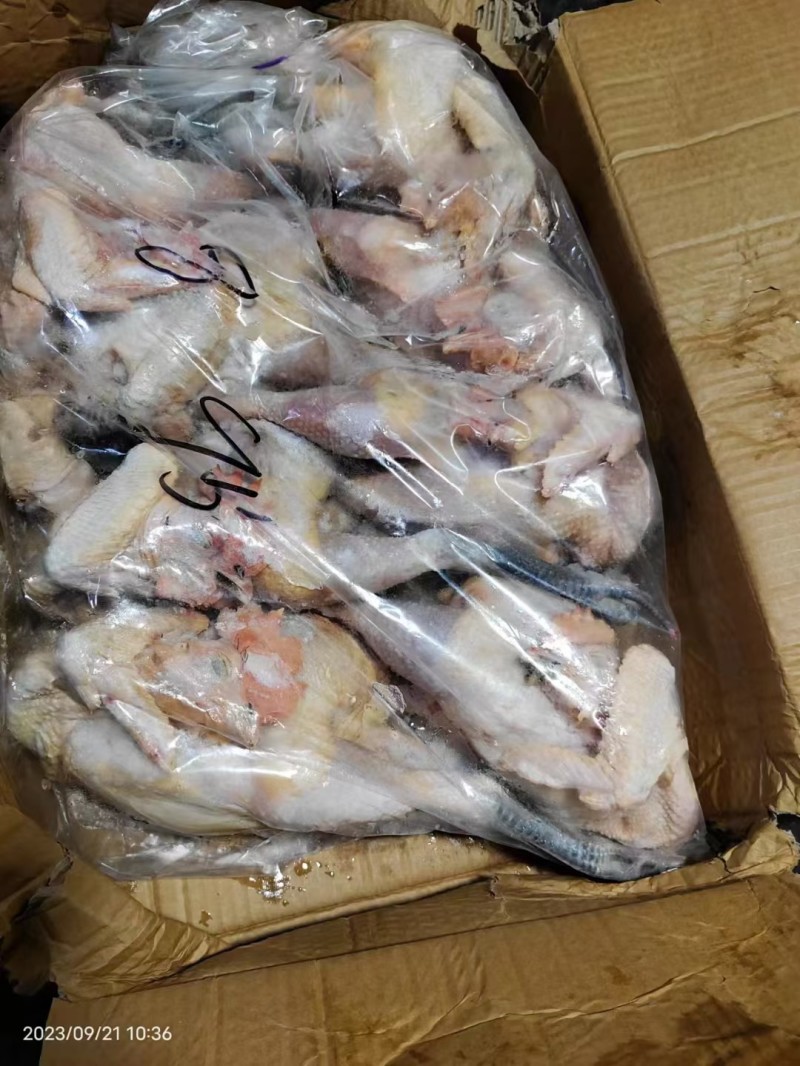 笨公鸡