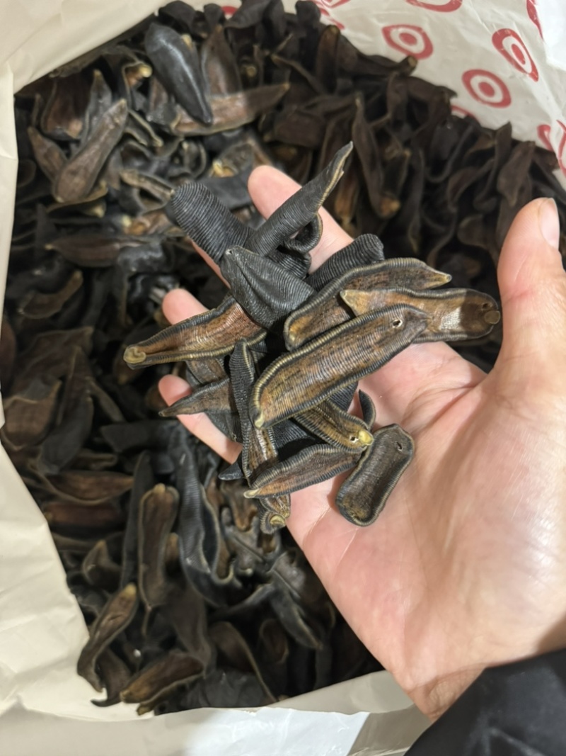 水蛭大个无矾清水水蛭足干蚂蟥宽体金线水蛭干货蚂蟥干