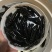 优质鲲腾黑鱼苗乌鱼苗产地直销全国供应技术指导