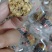 亚麻籽丸好吃不贵经济实惠，口感棒
