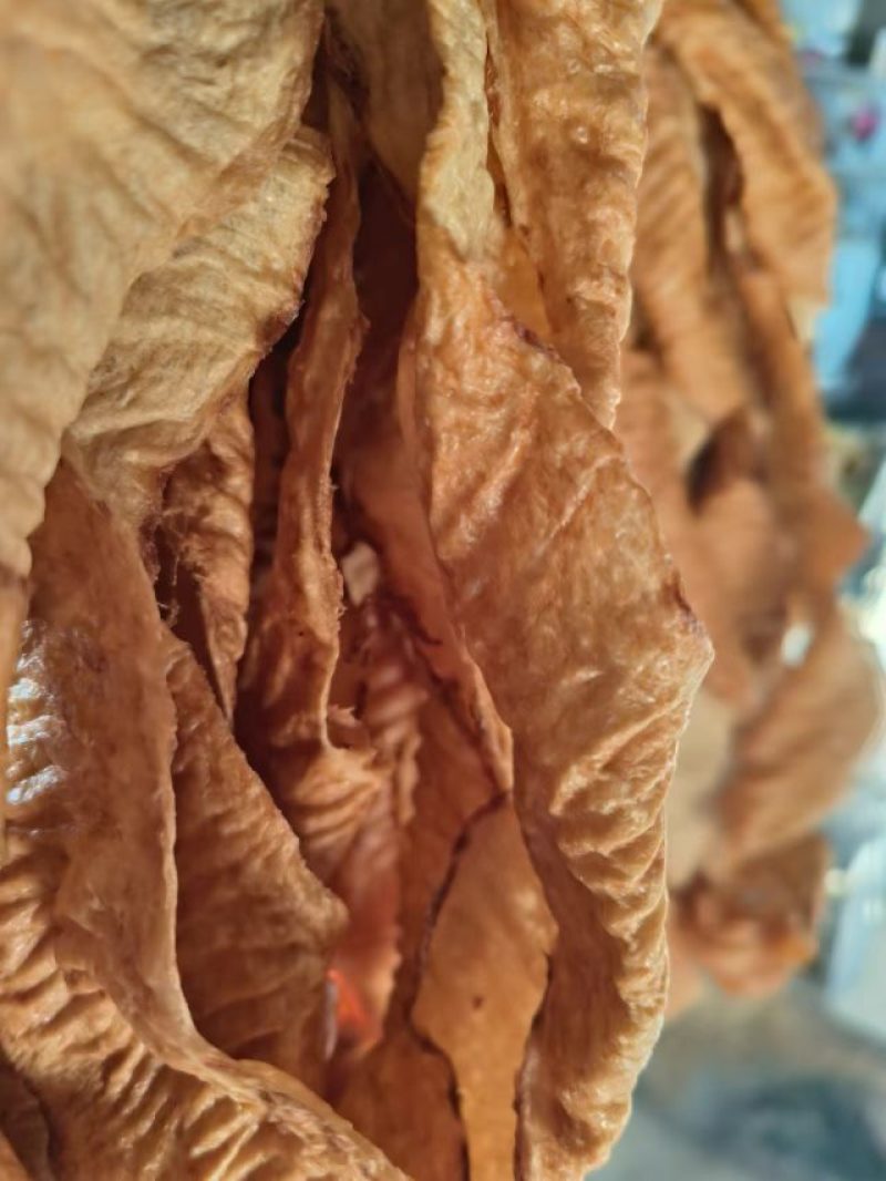 河南特产，精品人造肉