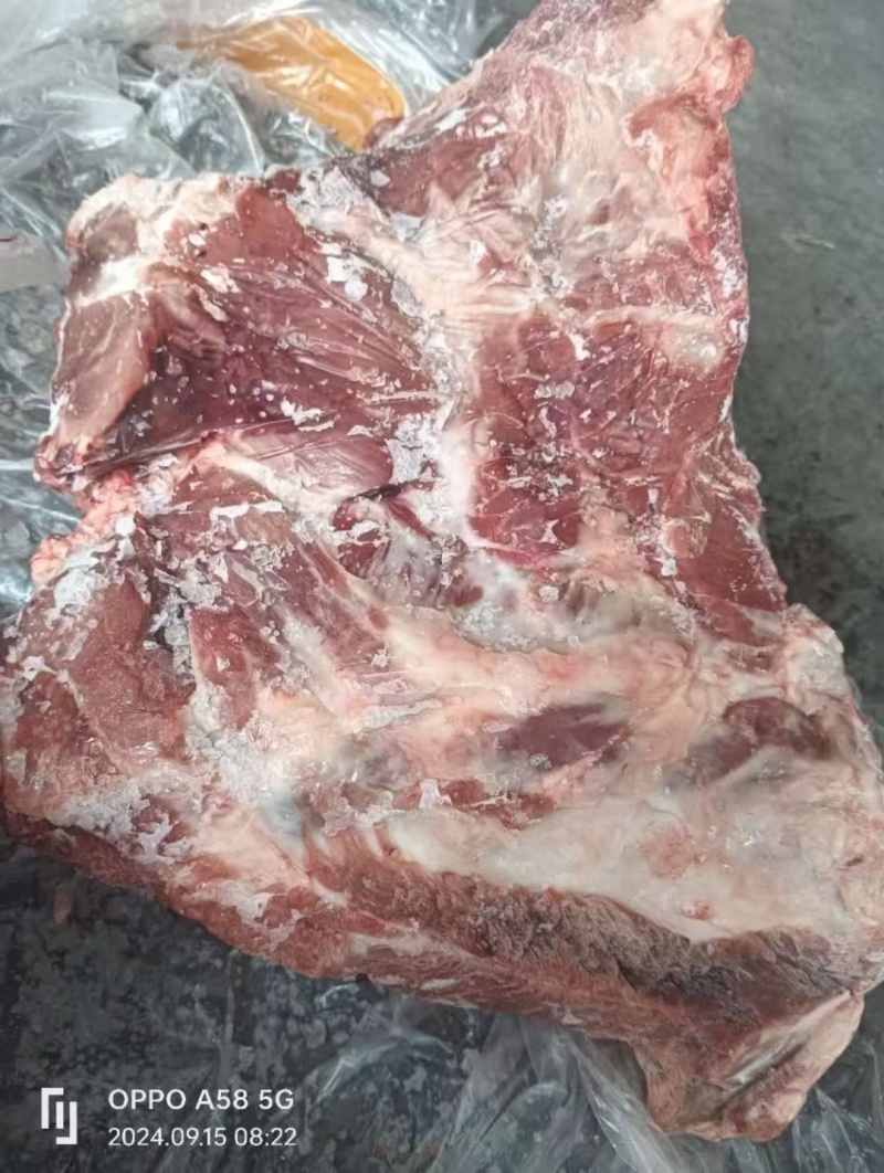 长盛母猪去颈前排