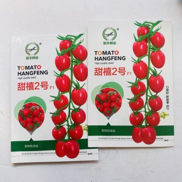 甜禧2号小番茄种子耐热抗TY口感好小西红柿种子含糖高圣女