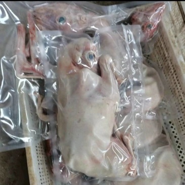 3到5斤乳羊直条独立包装，一手货源，保质保量，有意者联系
