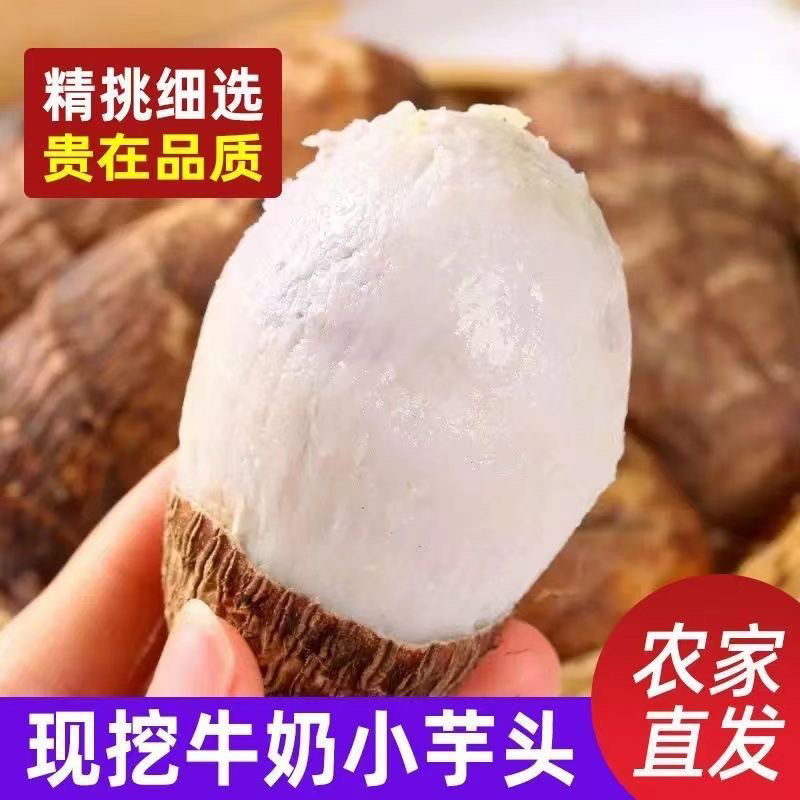 云南毛芋头牛奶芋头芋艿产地直发一件代发