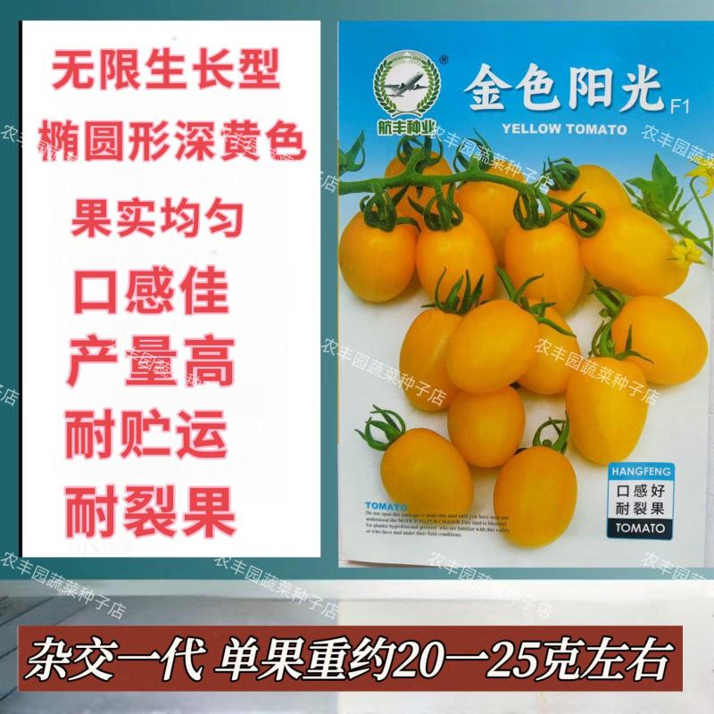 金色阳光番茄种子无限生长口感好黄色小番茄种子耐裂果樱桃番