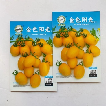 金色阳光番茄种子无限生长口感好黄色小番茄种子耐裂果樱桃番