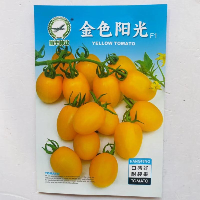 金色阳光番茄种子无限生长口感好黄色小番茄种子耐裂果樱桃番