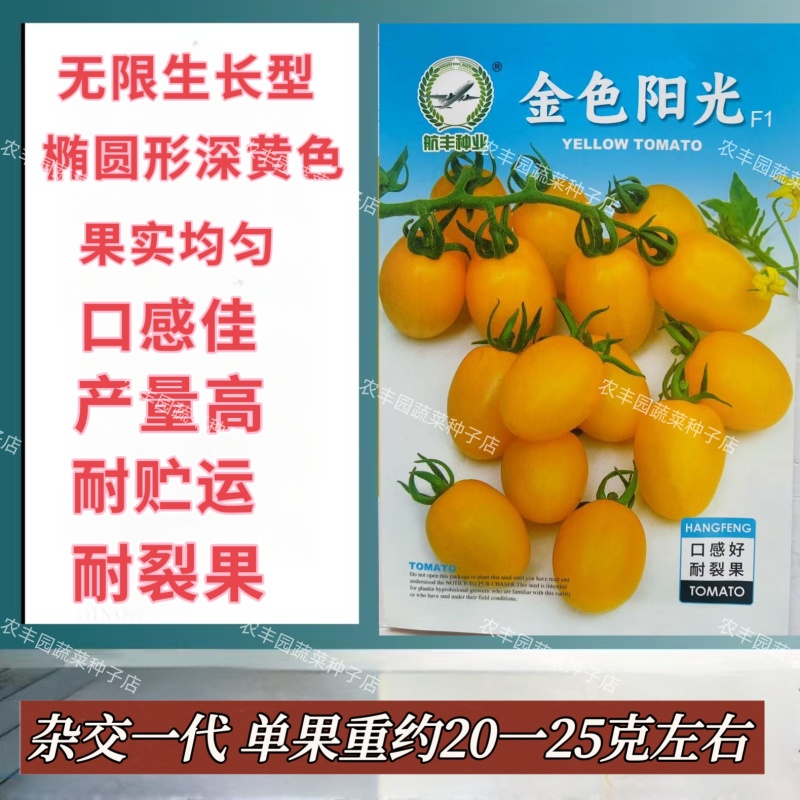 金色阳光番茄种子无限生长口感好黄色小番茄种子耐裂果樱桃番