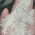 【碎米】常年有货量大承接加工养殖可用全国能发干净边角料耐运输