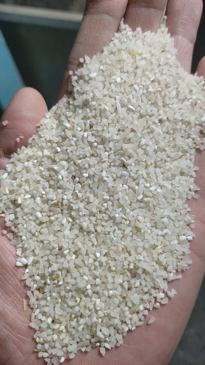 【碎米】常年有货量大承接加工养殖可用全国能发干净边角料耐运输