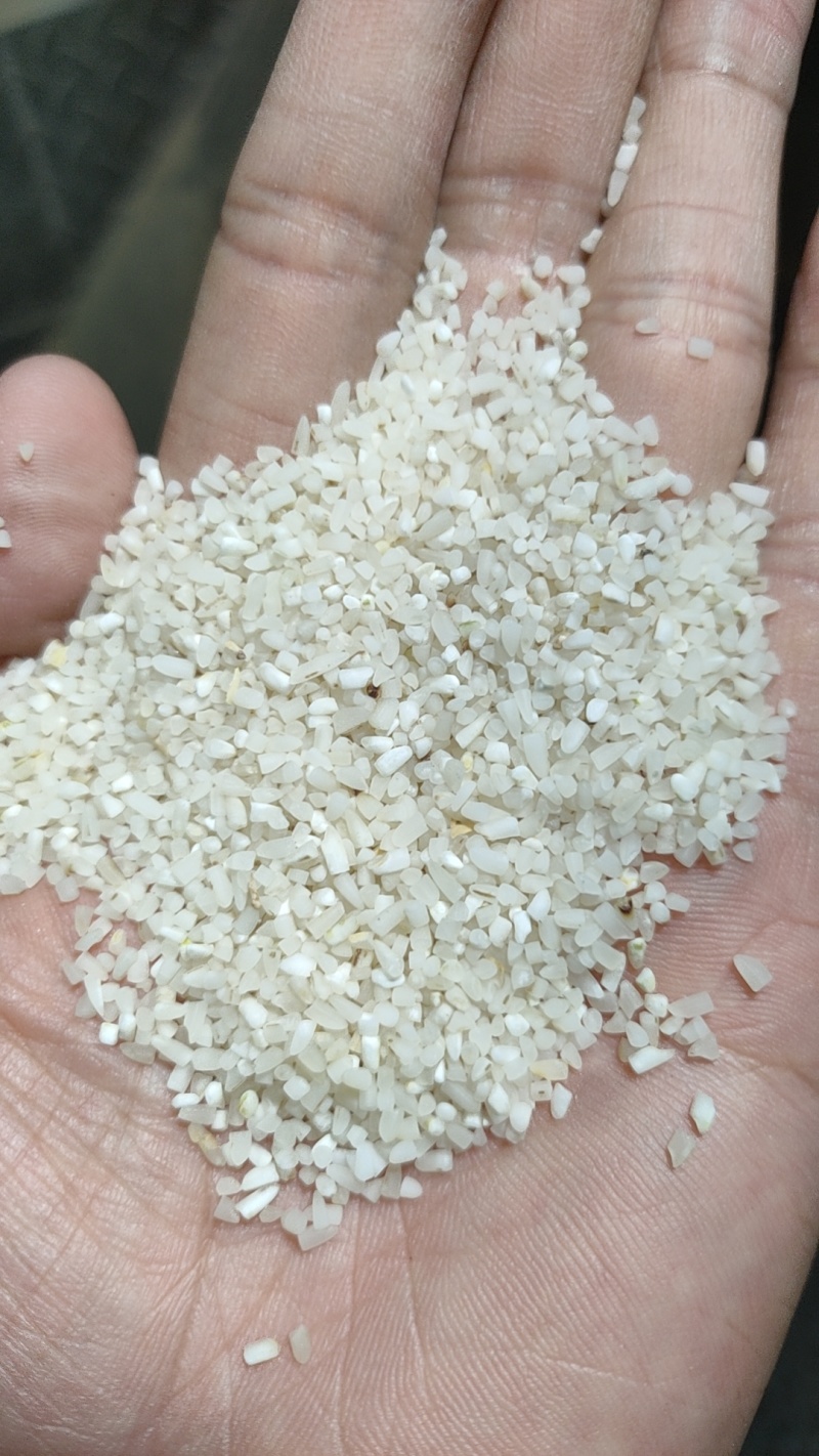 【碎米】常年有货量大承接加工养殖可用全国能发干净边角料耐运输