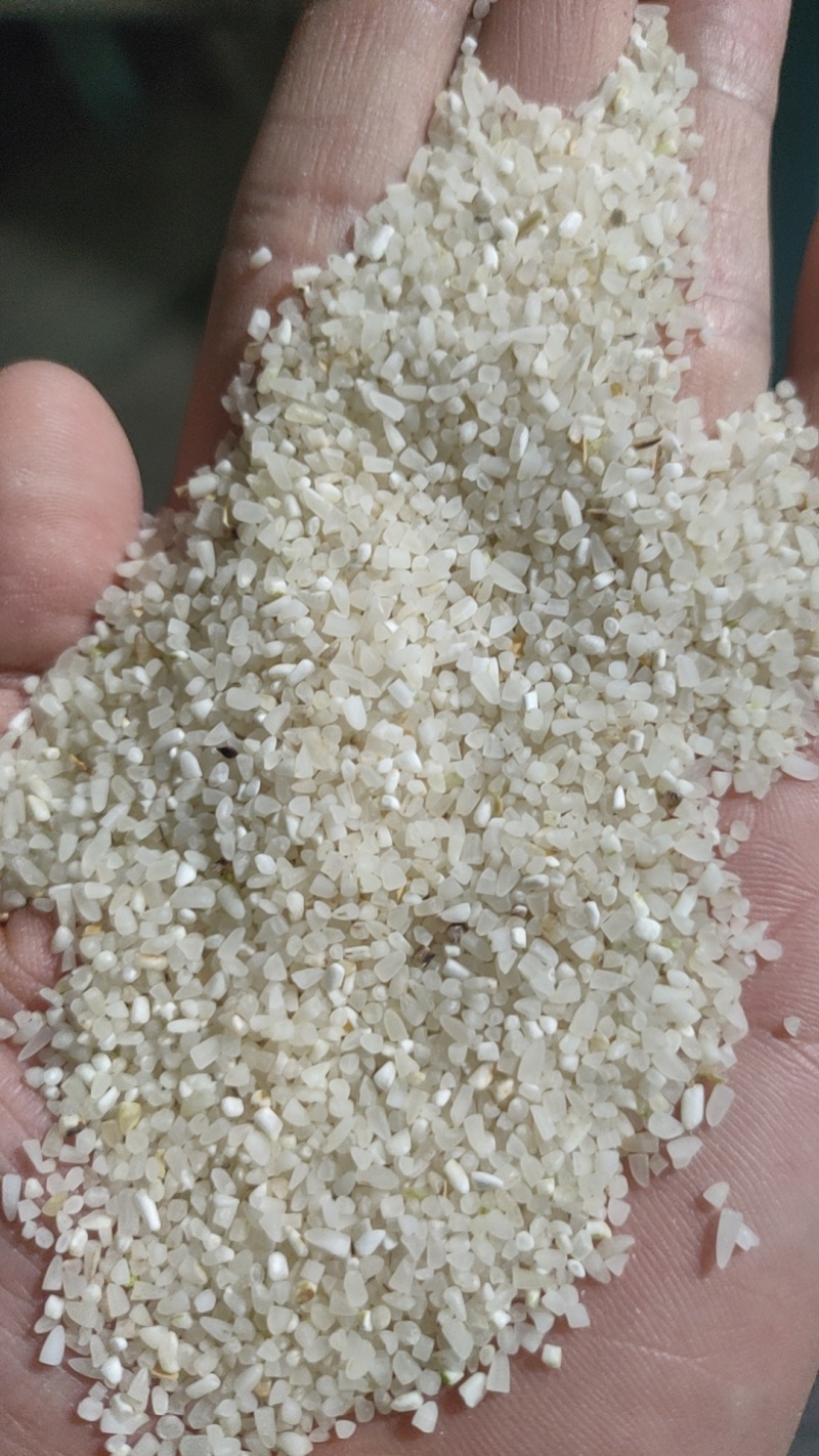 【碎米】常年有货量大承接加工养殖可用全国能发干净边角料耐运输