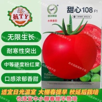 甜心108番茄种子无限生长浓郁香甜水果番茄种子耐寒粉果西