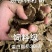 棉籽饼，纯光棉籽榨油后的片饼，适合养殖，肥料