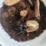 昆虫