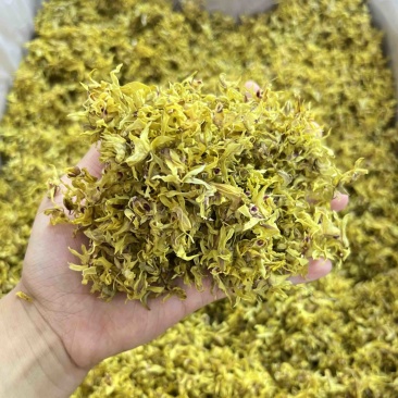 铁皮石斛花批发，量大从优，一手货源，可视频看货代发全国