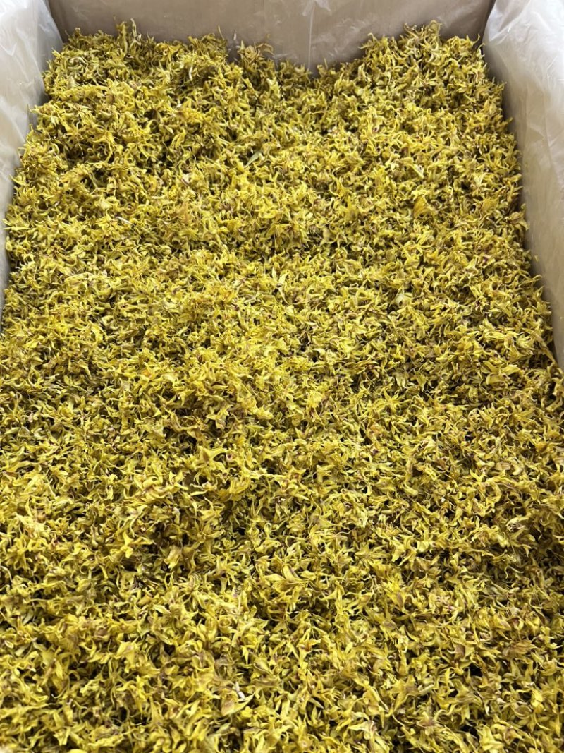 铁皮石斛花批发，量大从优，一手货源，可视频看货代发全国