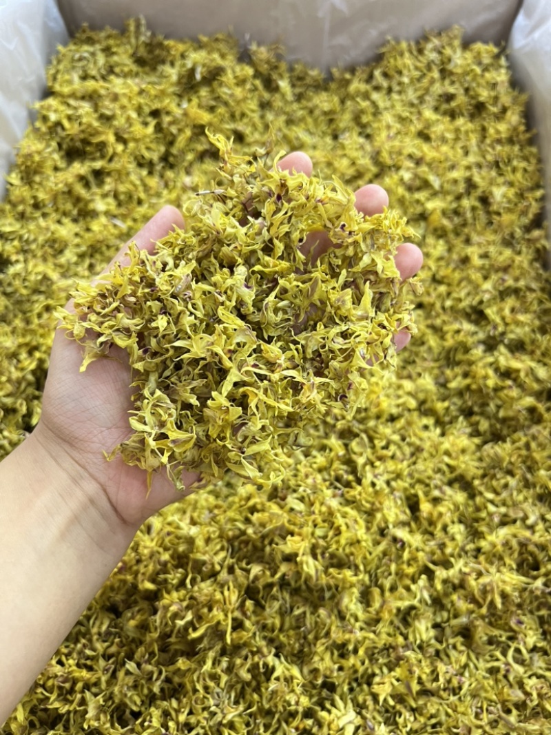 铁皮石斛花批发，量大从优，一手货源，可视频看货代发全国