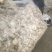石渠白菌大干货一手货源产地直发量大从优可供商超
