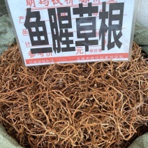 中药材鱼腥草干根鱼腥草根折耳根干货