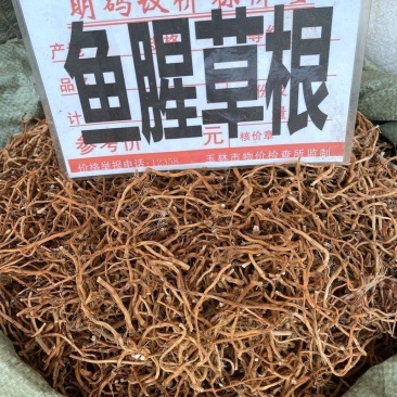 中药材鱼腥草干根鱼腥草根折耳根干货