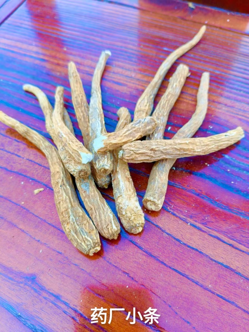 产地白芷-精品个条，二条，小条，自产自销量大从优保证质量