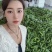 山东费县鲜辣椒芜湖椒货源充足，电商市场超市大量供应