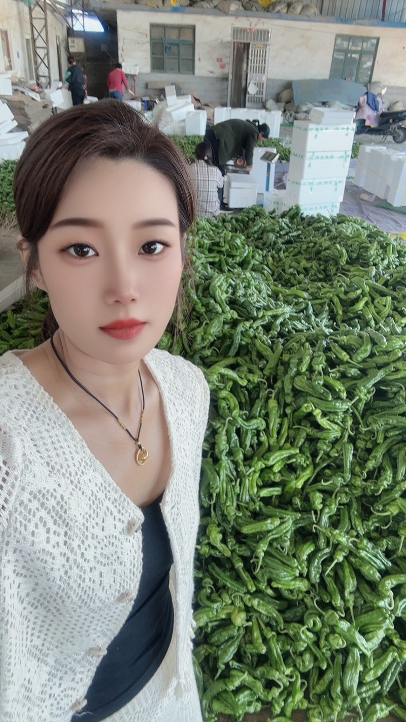 山东费县鲜辣椒芜湖椒货源充足，电商市场超市大量供应
