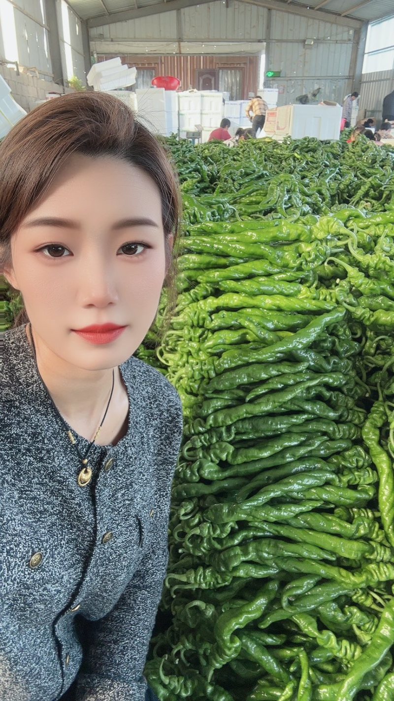 山东费县鲜辣椒芜湖椒货源充足，电商市场超市大量供应