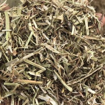 花生秧现收现打现卖质优价廉