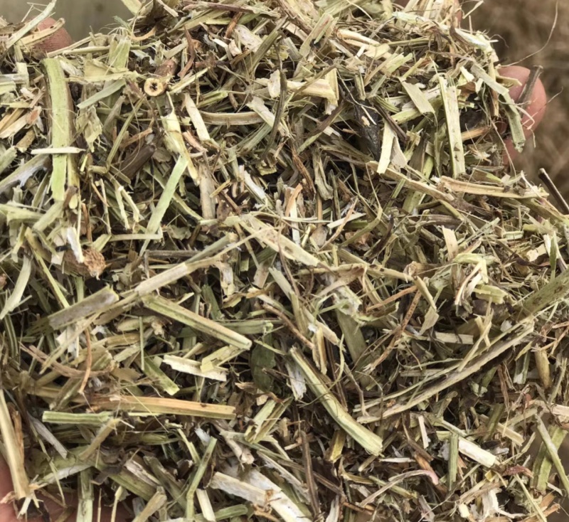 花生秧现收现打现卖质优价廉