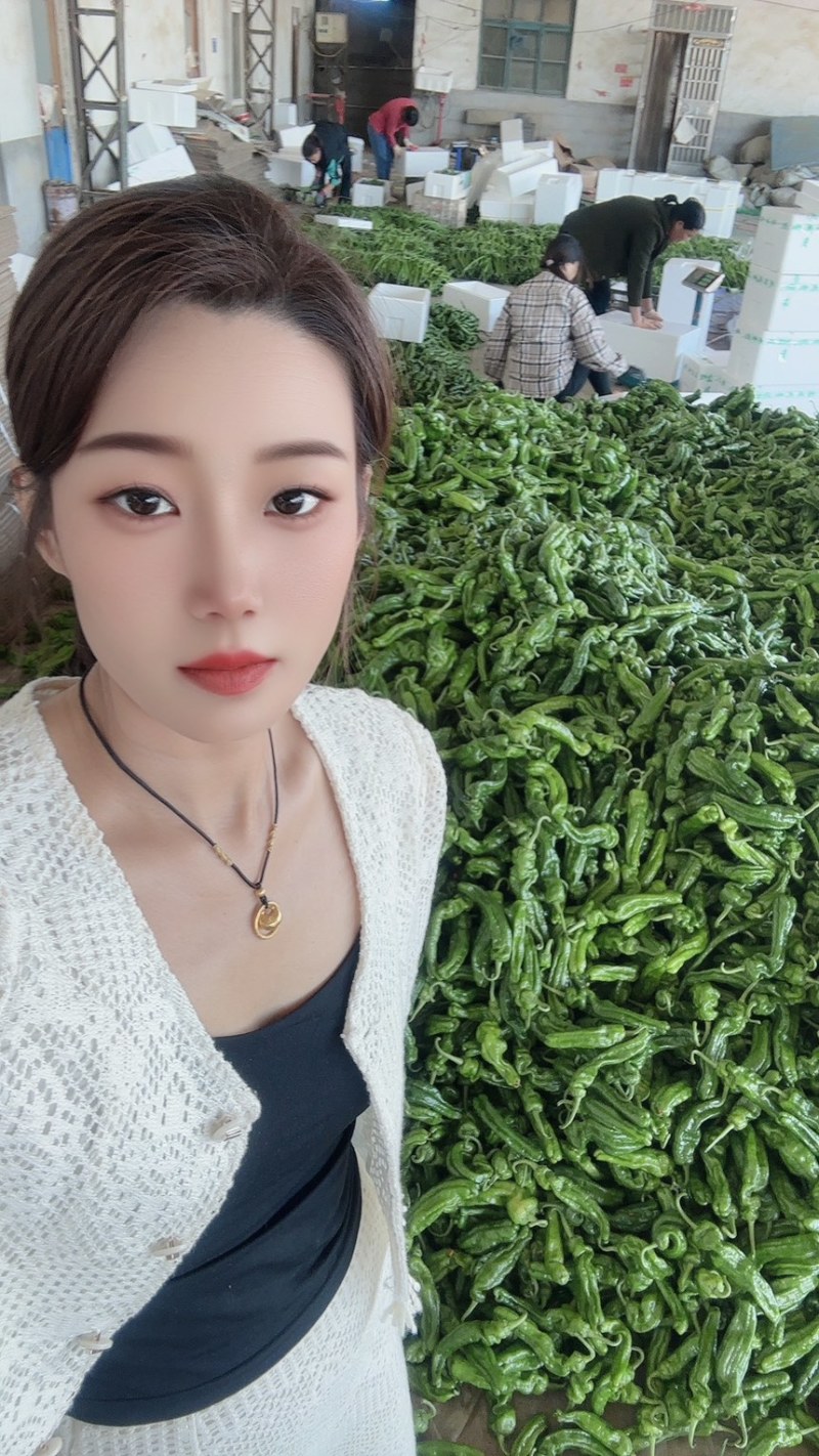 山东费县鲜辣椒芜湖椒薄皮椒可供各大市场，电商平台