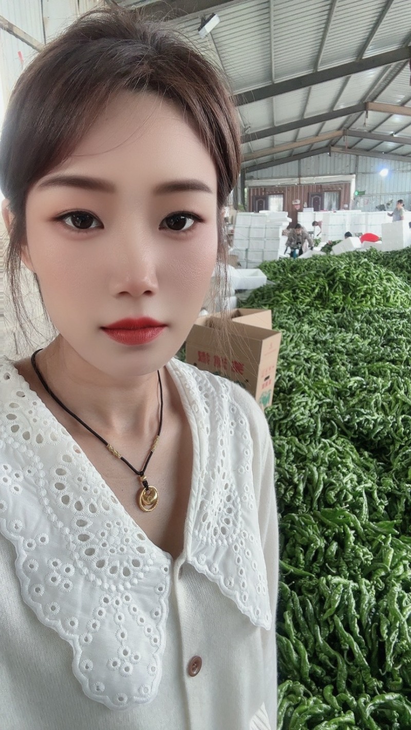 山东费县鲜辣椒芜湖椒薄皮椒可供各大市场，电商平台
