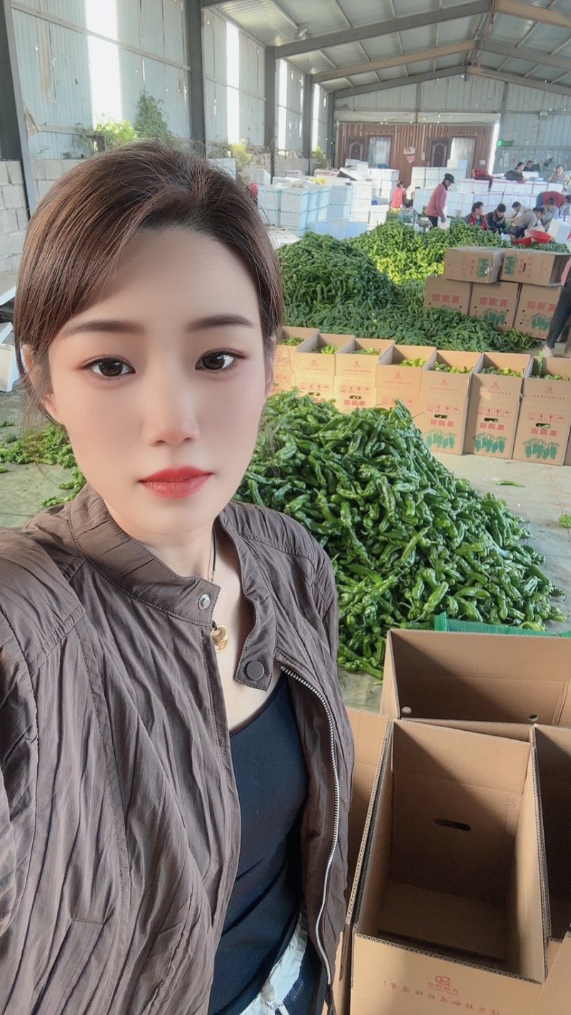 山东费县鲜辣椒芜湖椒薄皮椒可供各大市场，电商平台
