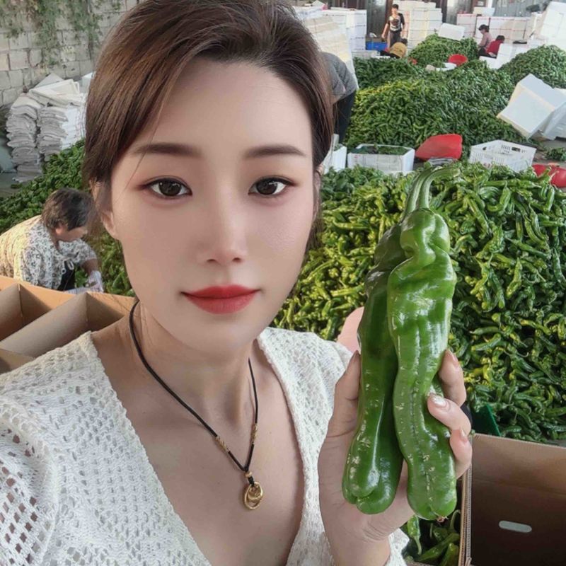 山东费县鲜辣椒芜湖椒薄皮椒可供各大市场，电商平台