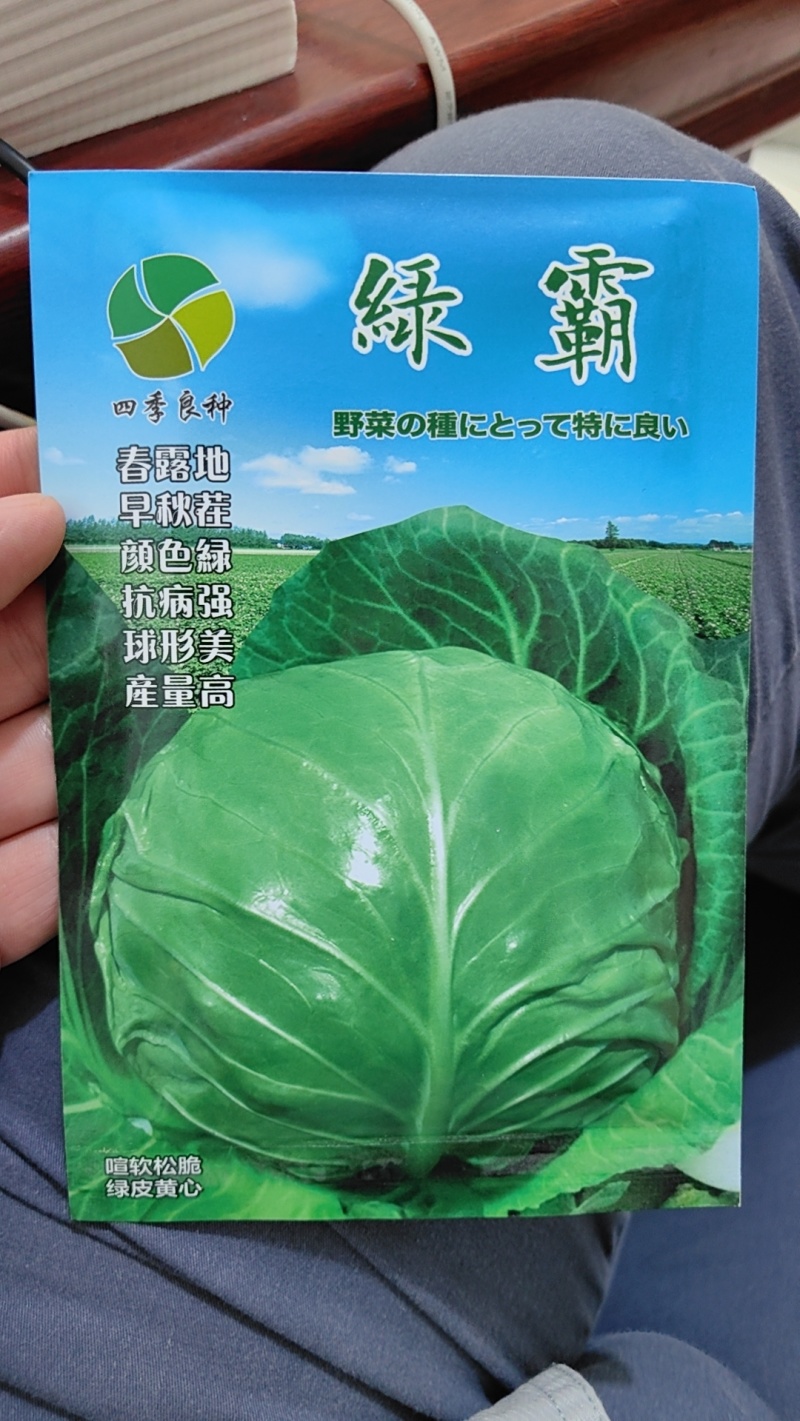 绿霸甘蓝种子圆球浓绿皮黄心暄菜松软耐裂早熟50天春秋甘蓝