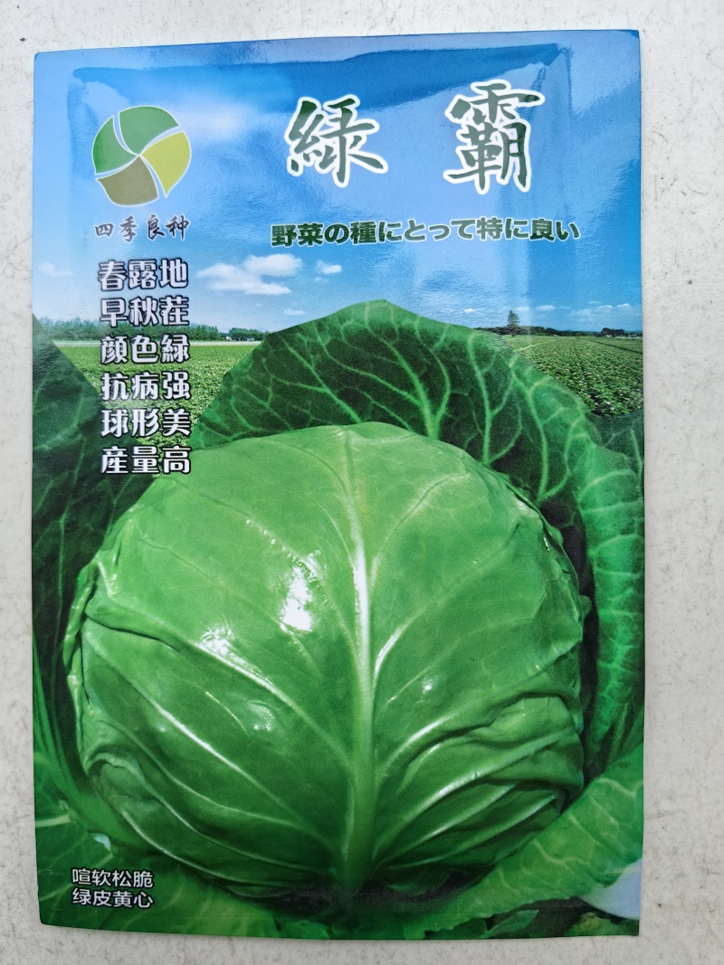 绿霸甘蓝种子圆球浓绿皮黄心暄菜松软耐裂早熟50天春秋甘蓝