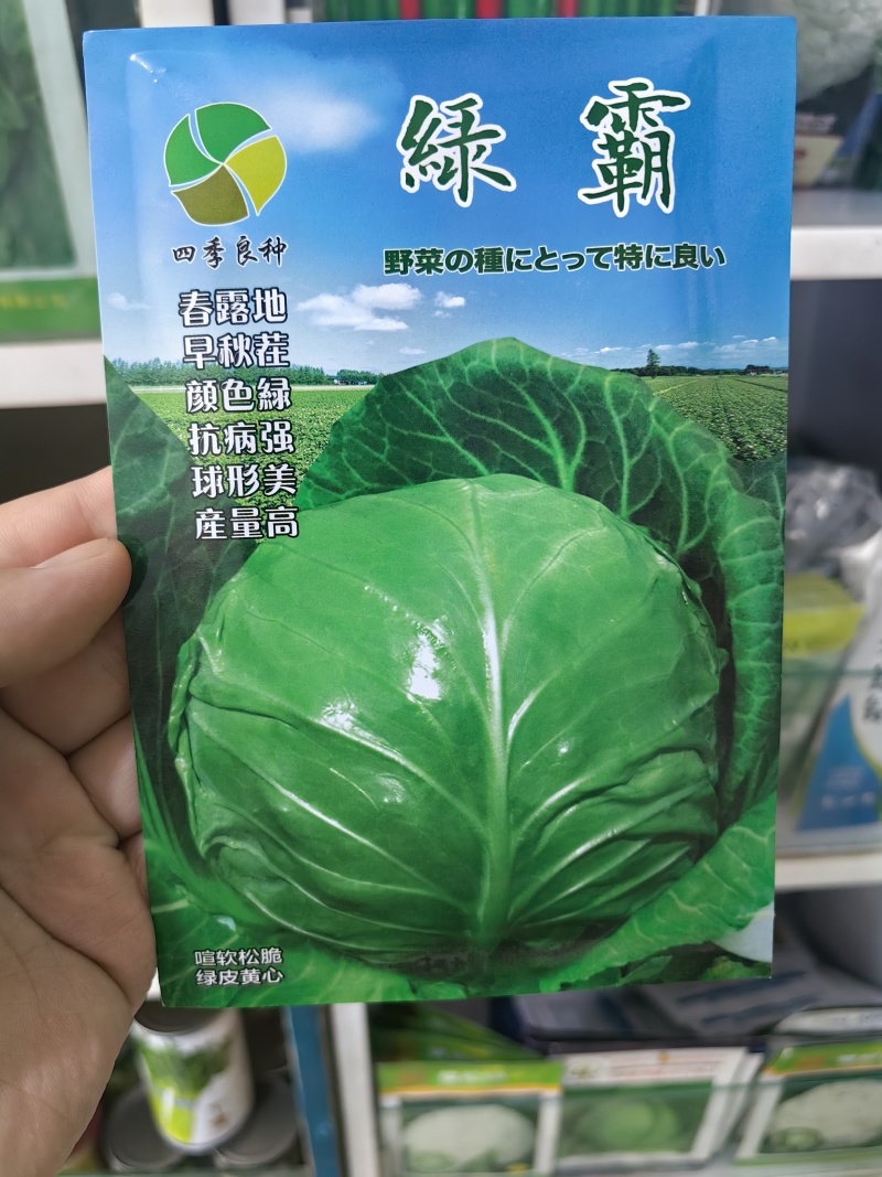 绿霸甘蓝种子圆球浓绿皮黄心暄菜松软耐裂早熟50天春秋甘蓝