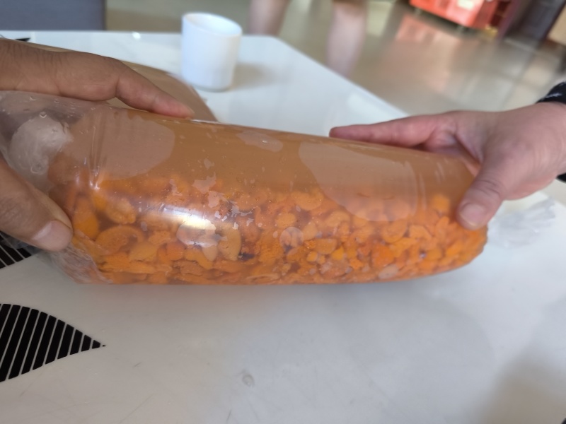 海胆
