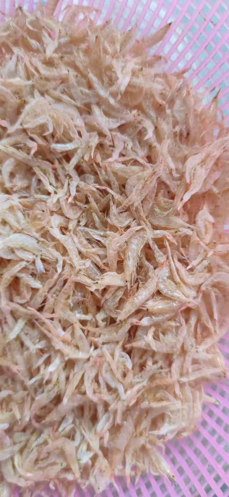 虾皮淡干无盐虾皮质量上乘干度纯干自然天晒虾皮