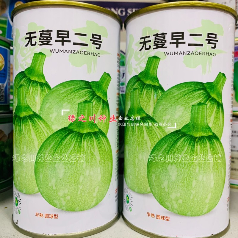 无蔓早二号南瓜种子脆嫩味甜无藤菜南瓜种子早熟圆球型南瓜