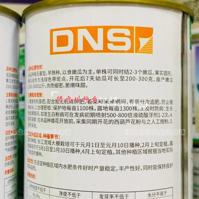无蔓早二号南瓜种子脆嫩味甜无藤菜南瓜种子早熟圆球型南瓜